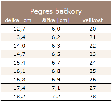 Snímek obrazovky 2024-07-02 124224